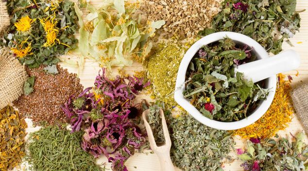 Healing plants help fight Melitus diabetes